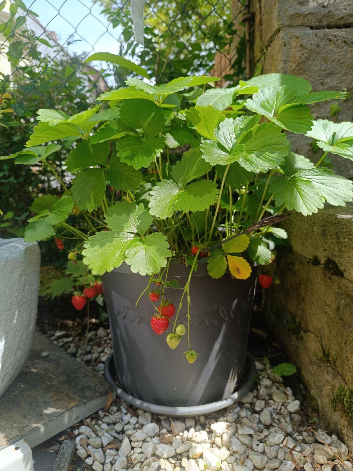 Ferienwohnung Forest & Wein Neustadt an der Weinstraße 外观 照片